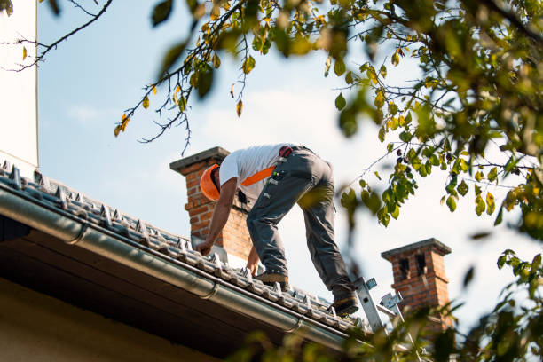 Fast & Reliable Emergency Roof Repairs in Romancoke, MD