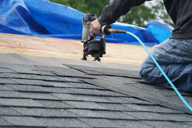 Best Metal Roofing Installation  in Romancoke, MD